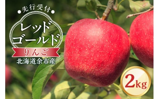 【先行予約：2025年10月中旬より発送】りんご（レッドゴールド）2kg【北海道余市町産】