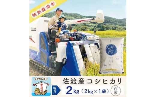 【新米予約 6か月定期便】佐渡島産コシヒカリ 白米2Kg 令和7年 特別栽培米 農家直送 2267282 - 新潟県佐渡市