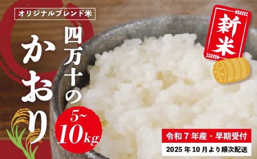 米 5〜10kg [ 新米 令和7年産 ]コシヒカリ 香り米 ヒエリ 入り 四万十のかおり 国産 こしひかり 早期受付 ブレンド 精米 白米 ごはん おいしい ふっくら もちもち 高知県 四万十市 四万十 しまんと 土佐 [2025年10月より順次配送]