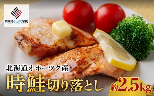 【先行受付】 北海道オホーツク産 時鮭切り落とし 約2.5kg （2025年11月中旬より順次発送） 【 ふるさと納税 人気 おすすめ ランキング  鮭 サケ シャケ 切身 しゃけ 切り落とし お弁当 魚 さかな 海産物 オホーツク産 時鮭 時しゃけ 冷凍 北海道 オホーツク 美幌町 送料無料 】 BHRI027