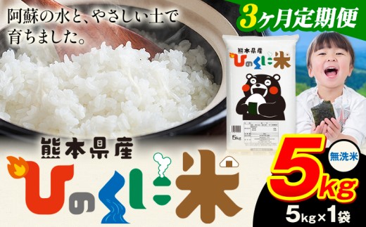 【3ヶ月定期便】 無洗米 ひのくに米 5kg 《お申込み月の翌月から出荷開始》 食品 米 こめ コメ 熊本県産 ふるさと納税 お米 おこめ 熊本