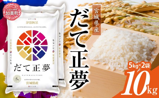 だて正夢 令和7年産 宮城県産 10kg(5kg×2）  [ カメイ 宮城県 加美町 ]  お米 こめ コメ 精米 白米 だてまさむね | km-dm10-r7