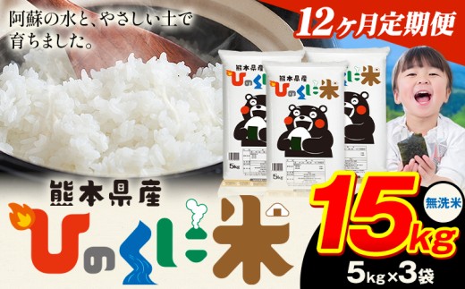 【12ヶ月定期便】 無洗米 ひのくに米 15kg 《お申込み月の翌月から出荷開始》 食品 米 こめ コメ 熊本県産 ふるさと納税 お米 おこめ 熊本