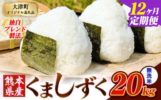 【12ヶ月定期便】無洗米 熊本県産 ブレンド米 くましずく 20kg 熊本県産 ふるさと納税 無洗米 精米 米 こめ ふるさとのうぜい コメ お米 おこめ《申込み翌月から発送》