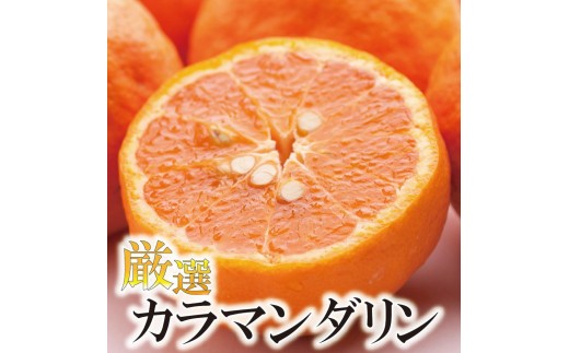 ［先行予約］厳選 カラマンダリン1kg+250g（傷み補償分）［南津海・なつみ］［希少な春柑橘］［みかんと同じように食べられます］［IKE65］ 2267887 - 和歌山県高野町
