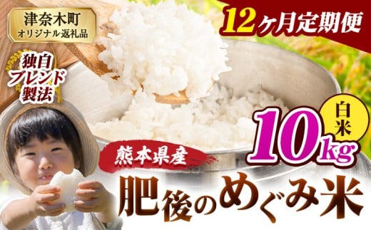 【12ヶ月定期便】白米 熊本県産 ブレンド米 肥後のめぐみ米 10kg 熊本県産 ふるさと納税 精米 米 こめ ふるさとのうぜい コメ お米 おこめ《申込月の翌月から出荷開始》