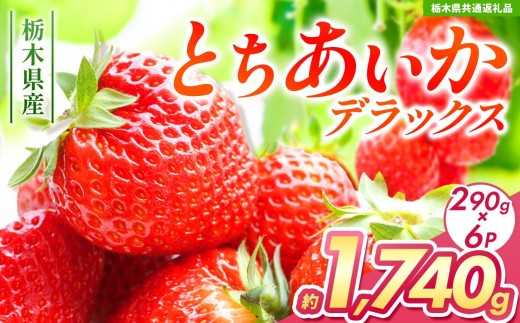 【チョイス限定企画】【先行予約】とちあいかデラックス 約1740g (290g×6) 【栃木県共通返礼品】| いちご とちあいか 大粒 新鮮 甘い 数量 限定 美味しい スイーツ ジューシー 果物 共通返礼品 フルーツ デザート 栃木県 送料無料