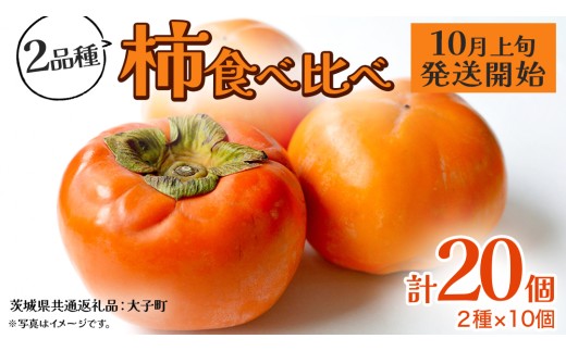柿 食べ比べ 2品種×10個【2025年10月上旬発送開始】(茨城県共通返礼品：大子町) 富有柿 次郎柿 種無し柿 筆柿 太秋柿 果物 フルーツ 旬 季節限定 期間限定
