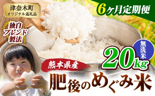 【6ヶ月定期便】無洗米 熊本県産 ブレンド米 肥後のめぐみ米 20kg 熊本県産 ふるさと納税 精米 米 こめ ふるさとのうぜい コメ お米 おこめ《申込月の翌月から出荷開始》