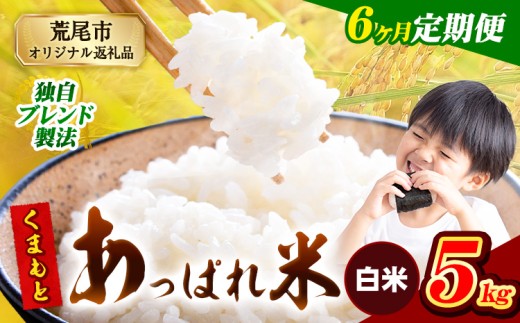 【6ヶ月定期便】熊本県産 くまもとあっぱれ米 ブレンド米 5kg 熊本県産 ふるさと納税 白米 精米 米 こめ ふるさとのうぜい コメ お米 おこめ《お申込み月の翌月から発送予定》 2271918 - 熊本県荒尾市