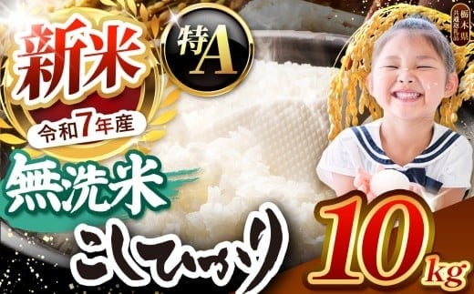 【令和7年度新米先行予約】栃木県産コシヒカリ 無洗米 10kg 【栃木県共通返礼品】 | お米 米 こめ 洗米 新米 無洗米 コシヒカリ こしひかり 美味しい お弁当 選べる ふるさと 納税 栃木県 矢板市