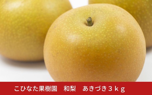 あきづき ３㎏ [2025年発送分] 令和７年産 和梨 新潟 三条 燕三条 果物 贈答用  [こひなた果樹園] 【011S325】
