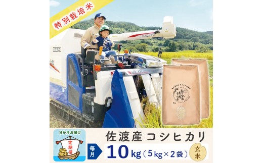 【新米予約 9か月定期便】佐渡島産コシヒカリ 玄米10Kg 令和7年 特別栽培米 農家直送 2267289 - 新潟県佐渡市