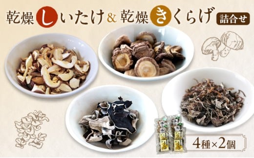 有機JAS 乾燥 しいたけ ・ 乾燥 きくらげ 4種各2個 詰合せ オーガニック 野菜 きのこ 岡山県 玉野市 栽培期間中化学肥料不使用 栽培期間中農薬不使用