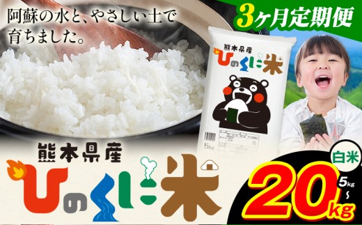 【3ヶ月定期便】 白米 ひのくに米 20kg 《お申込み月の翌月から出荷開始》 食品 米 こめ コメ 熊本県産 ふるさと納税 お米 おこめ 熊本