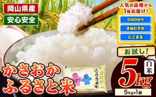 【令和7年12月発送】【先行予約】米 令和7年産 5kg 5kg×1袋 ふるさと米 備中笠岡 人気品種をお届け！ 国産 ヒノヒカリ にこまる きぬむすめ お米 ブランド米 ふっくら ハリ おにぎり 弁当 発送時期が選べる 単一原料米 検査済み お取り寄せ 送料無料 岡山県産 st-p