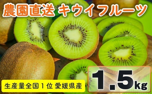 家庭用 キウイフルーツ ヘイワード 約1.5kg 愛媛県産 【12 月上旬~2 月下旬発送】| 先行予約 キウイフルーツ ヘイワード 農園直送 家庭用 フルーツ キウイ 果物 グリーンキウイ 愛媛県 松山市 おすすめ 人気
