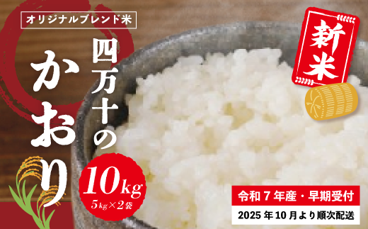 米 10kg 【 新米 令和7年産 】コシヒカリ 香り米 ヒエリ 入り 四万十のかおり 5kg ×2袋 国産 こしひかり 早期受付 ブレンド 精米 白米 ごはん おいしい ふっくら もちもち 高知県 四万十市 四万十 しまんと 【2025年10月より順次配送】25-153
