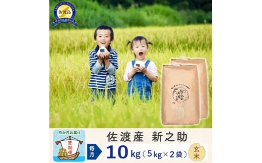 【新米予約 9か月定期便】佐渡島産 新之助 玄米10Kg 令和7年 2267296 - 新潟県佐渡市