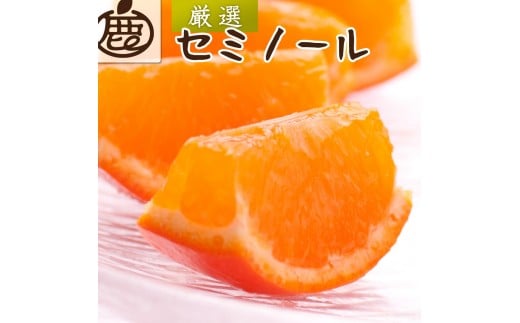 厳選 セミノールオレンジ 1kg+250g（傷み補償分）【春みかん】【有田産】【光センサー食べ頃出荷】 ［IKE275］ 2267863 - 和歌山県九度山町