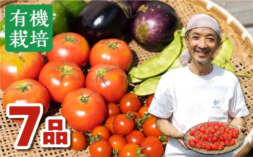 [令和7年産 発送中]野菜の栄養価コンテストグランプリ農家が贈る 無農薬栽培野菜 7品 ありがとうファーム お野菜のレシピ付き [Q234xch_7]