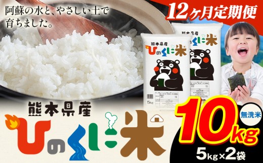 【12ヶ月定期便】 無洗米 ひのくに米 10kg 《お申込み月の翌月から出荷開始》 食品 米 こめ コメ 熊本県産 ふるさと納税 お米 おこめ 熊本