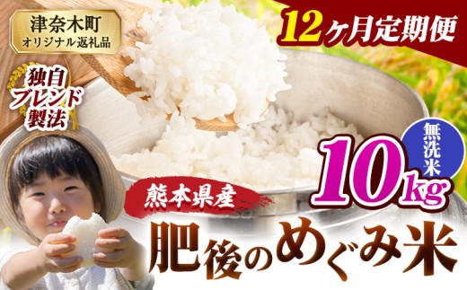 【12ヶ月定期便】無洗米 熊本県産 ブレンド米 肥後のめぐみ米 10kg 熊本県産 ふるさと納税 精米 米 こめ ふるさとのうぜい コメ お米 おこめ《申込月の翌月から出荷開始》