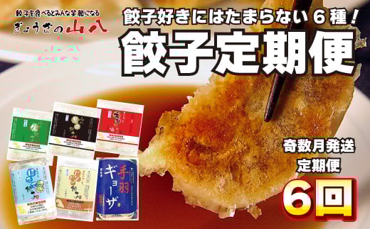ぎょうざの山八★餃子定期便（年6回奇数月）【随時開始】[F7003]