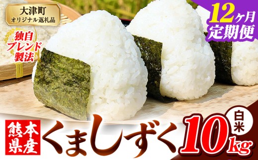 【12ヶ月定期便】白米 熊本県産 ブレンド米 くましずく 10kg 熊本県産 ふるさと納税 白米 精米 米 こめ ふるさとのうぜい コメ お米 おこめ《申込み翌月から発送》