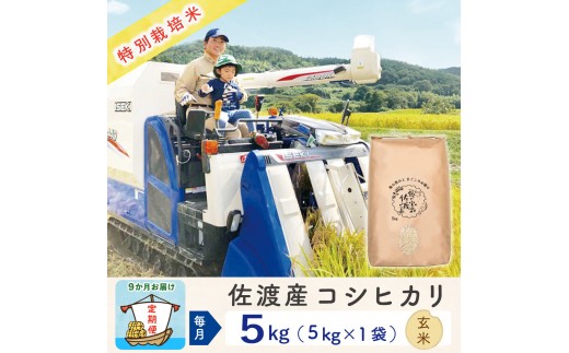 【新米予約 9か月定期便】佐渡島産コシヒカリ 玄米5Kg 令和7年 特別栽培米 農家直送 2267285 - 新潟県佐渡市