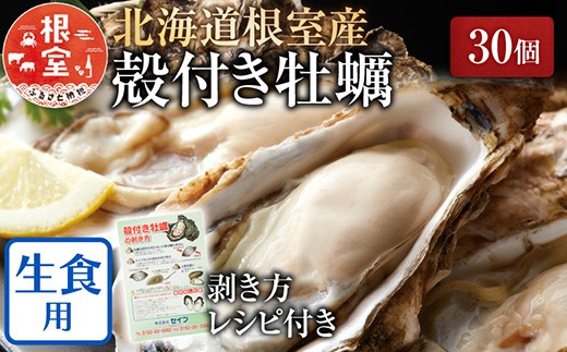 B-54006 【北海道根室産】貝付き牡蠣30個[11月上旬以降発送]