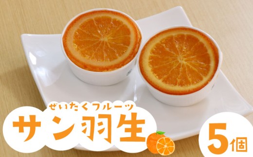 焼き菓子 サン羽生 5個 セット オレンジ シロップ漬け 焼菓子 お菓子 洋菓子 果物 デザート スイーツ 母の日 父の日 敬老の日 お中元 お歳暮 ギフト プレゼント 人気 ウィンズ・アーク 埼玉県 羽生市