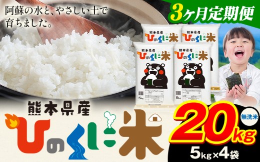 【3ヶ月定期便】 無洗米 ひのくに米 20kg 《お申込み月の翌月から出荷開始》 食品 米 こめ コメ 熊本県産 ふるさと納税 お米 おこめ 熊本
