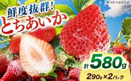 【ふるさと納税】[期間限定] 鮮度抜群とちあいか 290g×2P 先行予約【栃木県共通返礼品】｜栃木県産 矢板市産 フルーツ スイーツ デザート 果物  産地直送 栃木県 矢板市