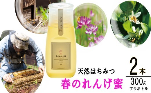 春のれんげ蜜 2本 セット 合計600g (300g×2本) 鹿児島 はちみつ 蜂蜜 れんげ蜜  AS-8108