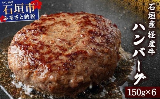 【2025年11月発送】石垣産経産牛ハンバーグ150g×6/箱