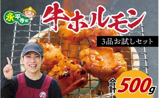 国産牛ホルモン3品 お試しセット 約500g 焼肉  味付け 肉 BBQ バーベキュー もつ ホルモン 国産 小分け おつまみ 冷凍 アウトドア 永平寺町 人気  [B-019001]　