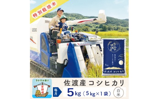 【新米予約 9か月定期便】佐渡島産コシヒカリ 白米5Kg 令和7年 特別栽培米 農家直送 2267284 - 新潟県佐渡市