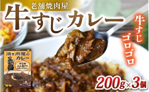 （冷凍）味園特選牛すじカレー200g×3個　国産黒毛和牛　高級ギフト／焼肉ホルモン味園　カレー　奈良県　葛城市【ajen002】