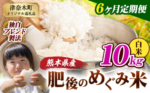 【6ヶ月定期便】白米 熊本県産 ブレンド米 肥後のめぐみ米 10kg 熊本県産 ふるさと納税 精米 米 こめ ふるさとのうぜい コメ お米 おこめ《申込月の翌月から出荷開始》