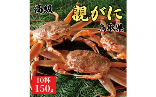 1064.【2025年11月発送】鳥取県産 特撰 親がに 姿【セコガニ】（なま）150g　10杯