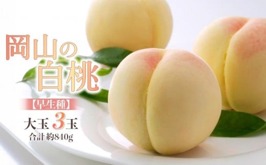 桃 2026年 岡山の 白桃 大玉3玉 早生種 合計約840g [白桃 桃 もも 岡山県産 国産 フルーツ 果物 新鮮 おすすめ 人気 岡山県 岡山市 国産 先行予約 ギフト 大玉]