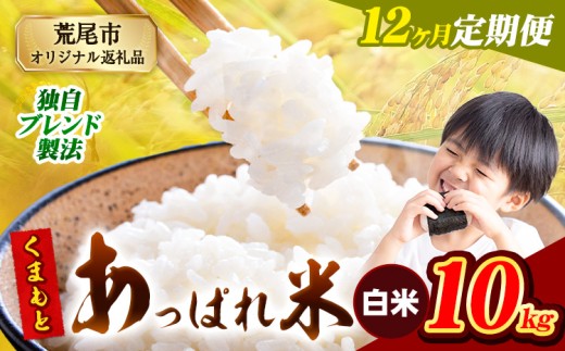【12ヶ月定期便】熊本県産 くまもとあっぱれ米 ブレンド米 10kg 熊本県産 ふるさと納税 白米 精米 米 こめ ふるさとのうぜい コメ お米 おこめ《お申込み月の翌月から発送予定》