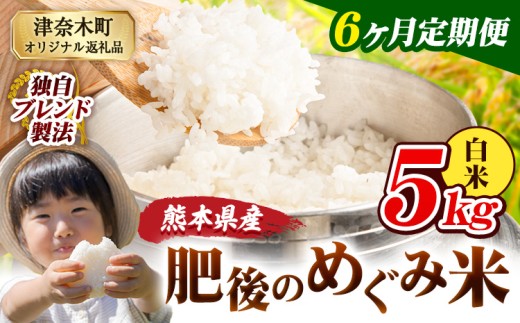 【6ヶ月定期便】白米 熊本県産 ブレンド米 肥後のめぐみ米 5kg 熊本県産 ふるさと納税 精米 米 こめ ふるさとのうぜい コメ お米 おこめ《申込月の翌月から出荷開始》