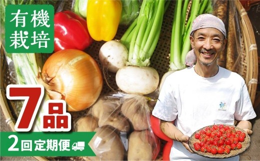 [令和7年産 発送中]定期便 野菜の栄養価コンテストグランプリ農家が贈る 無農薬栽培野菜 7品 ありがとうファーム お野菜のレシピ付き [Q234xch_7]