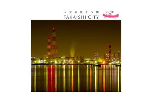 スマホで楽しむ!高石工場夜景ツアー＜25年11月29日(土)開催・1日限り ＞【1655375】