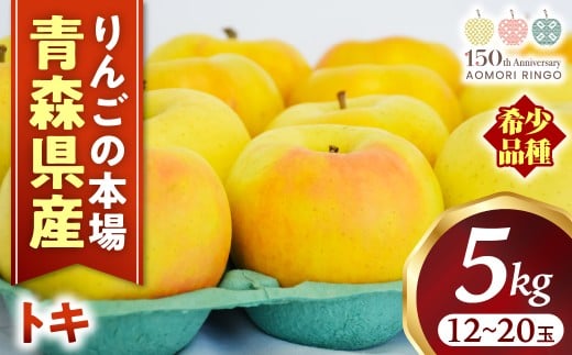 りんご【トキ】約5kg（12～20玉）【2025年産・先行予約】★2025年9月下旬～11月上旬頃まで発送予定★ りんご 林檎 リンゴ 国産 トキ 希少 フルーツ 果物 贈答 土産 青森県 三戸町 R0316 2250625 - 青森県三戸町