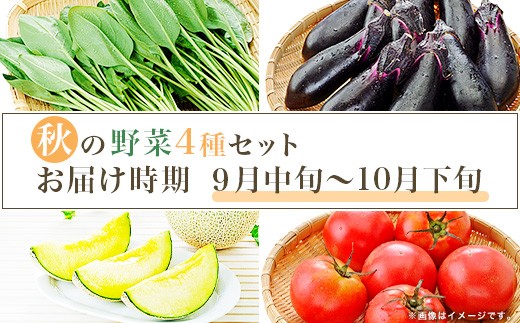 659 茨城町 秋の野菜セット メロン ほうれん草 トマト なす