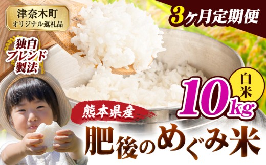 【3ヶ月定期便】白米 熊本県産 ブレンド米 肥後のめぐみ米 10kg 熊本県産 ふるさと納税 精米 米 こめ ふるさとのうぜい コメ お米 おこめ《申込月の翌月から出荷開始》
