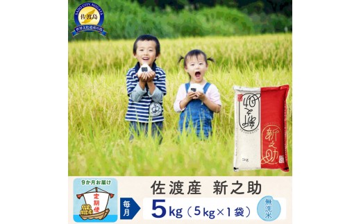 【新米予約 9か月定期便】佐渡島産 新之助 無洗米5Kg 令和7年 2267292 - 新潟県佐渡市